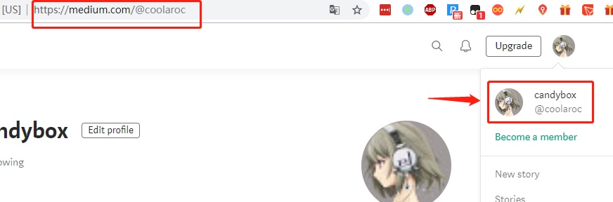 关于Facebook、Twitter、Medium、Reddit、Youtube等链接问题详解
